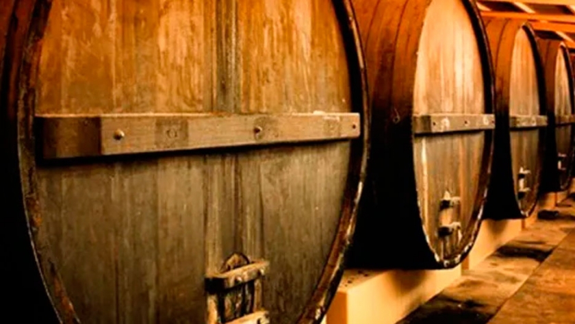 Argentina logró exportar el mayor volumen de vino de los últimos 12 años