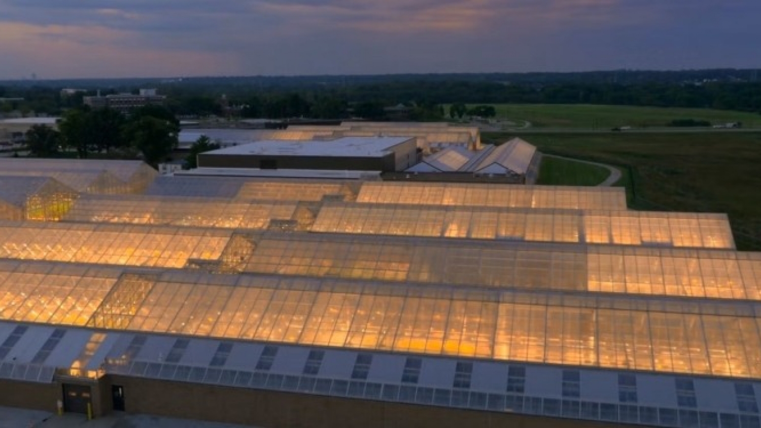 Corteva divide su negocio de semillas y nace Vylor, una nueva multinacional agrícola