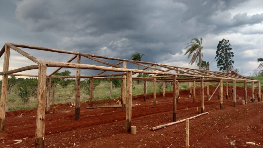 Invernadero modelo: Innovación agrícola para productores en San Vicente
