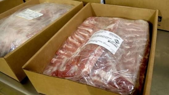 Exportaciones de carne porcina crecieron 156,8% en valor y superaron los US$10 millones en los primeros cinco meses del año