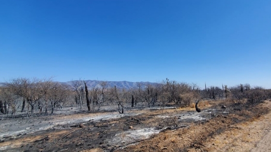 Incendios: proponen ampliar las zonas en desastre agropecuario