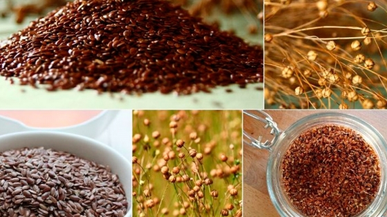 Beneficios y bondades de las semillas de lino