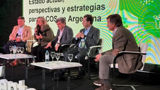 Recarbonizar el suelo: prácticas y estrategias clave para potenciar la agricultura argentina
