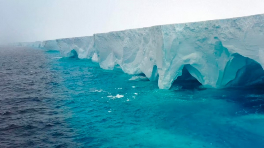 El iceberg más grande del mundo se encalló en el océano Atlántico: qué impacto puede tener en el ecosistema marino