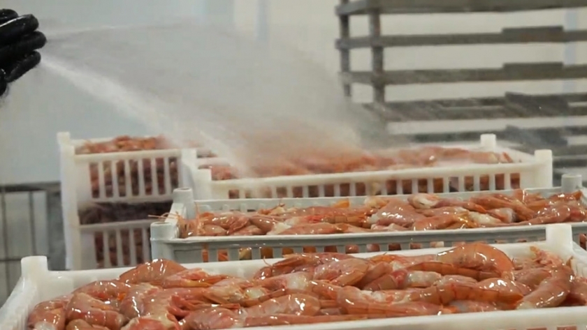 El Gobierno de Santa Cruz participó de la Comisión de Seguimiento de Langostino