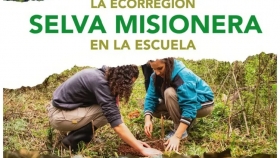 Día Mundial de la Educación Ambiental: La Fundación Vida Silvestre lanza su cuadernillo sobre la selva misionera