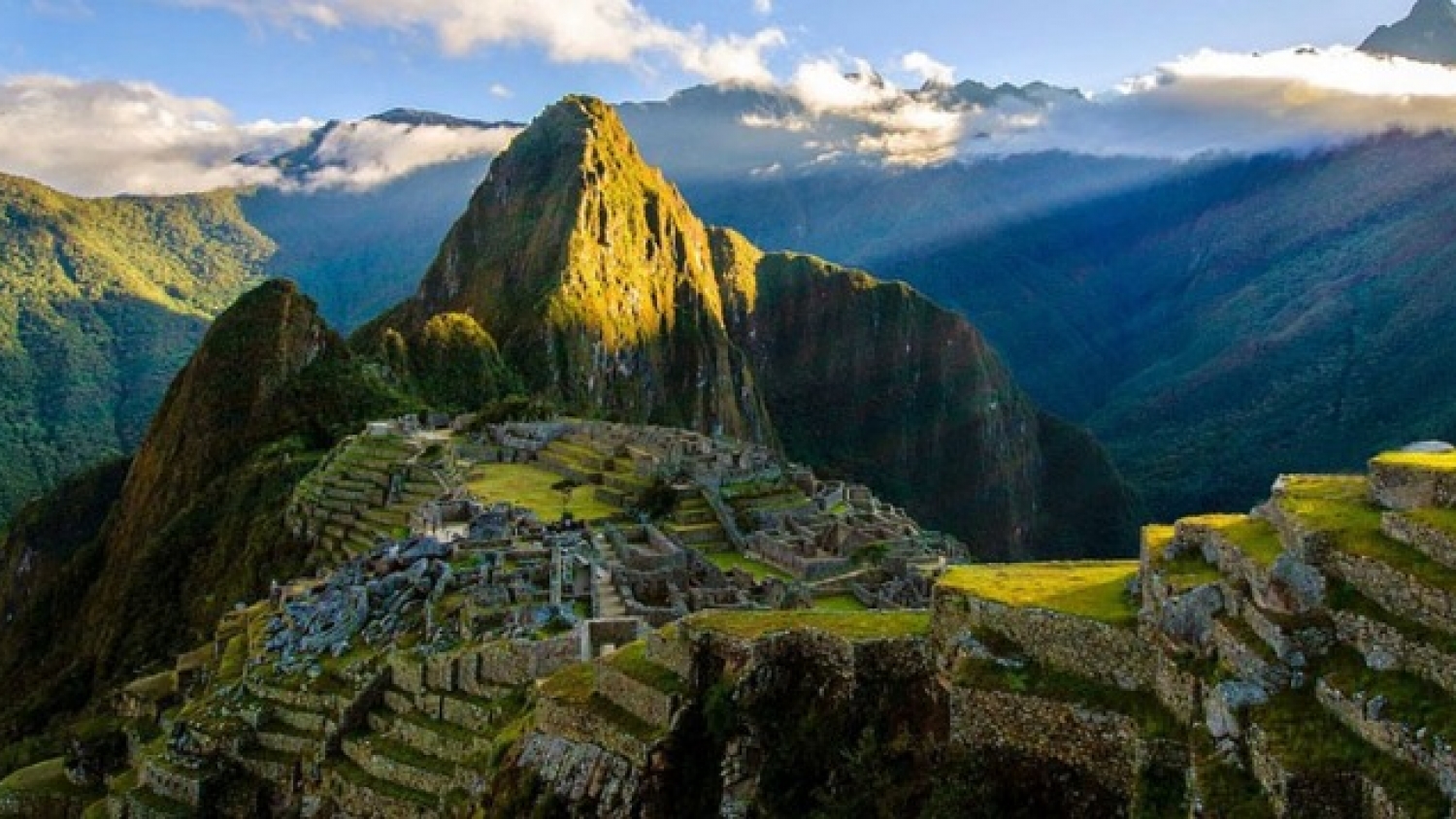 Un millón de árboles para proteger Machu Picchu