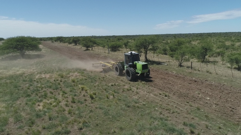 Vialidad Provincial limpia y despeja caminos aledaños en rutas provinciales