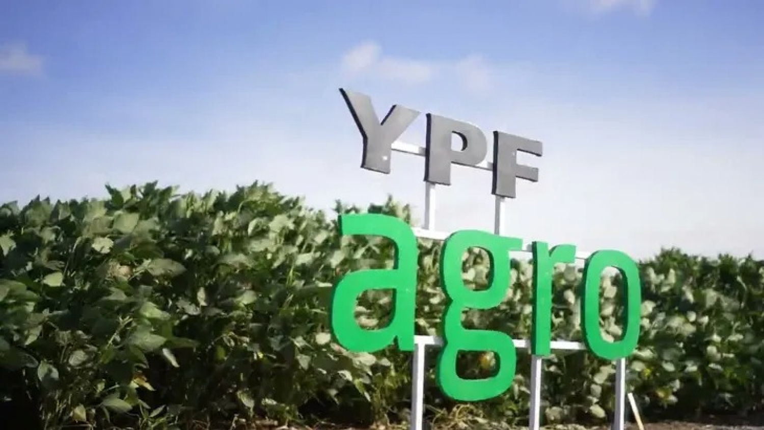 YPF frenó la venta de su unidad agroindustrial y relanza el negocio con una nueva estrategia para el campo