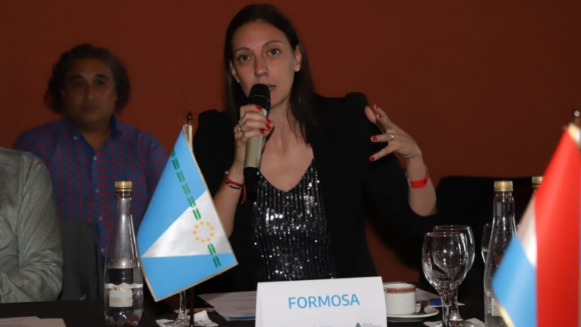 Formosa participó de la primera reunión anual del COFEDRO