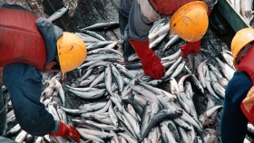 La actividad pesquera tuvo un crecimiento interanual del 12,3%