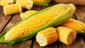 Maíz: la Argentina podría convertirse en el segundo exportador a nivel mundial