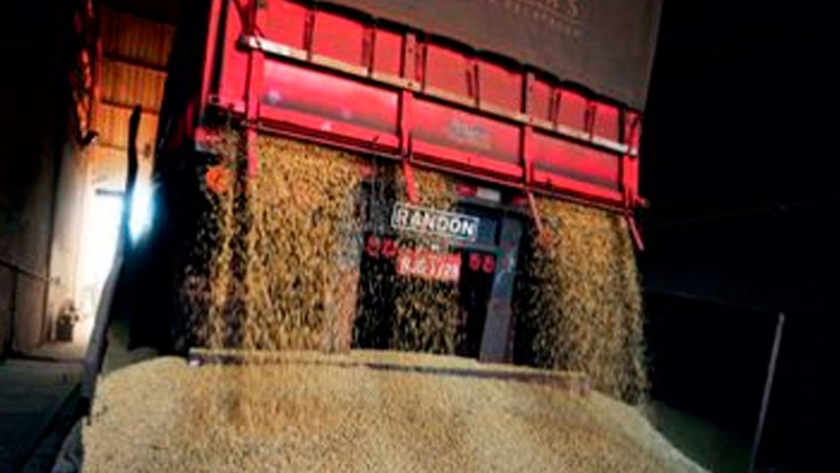 Crecieron las liquidaciones de subproductos de soja durante octubre