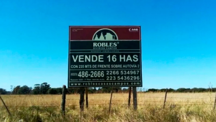 Luego de tocar su piso en mayo 2020, la venta de campos comenzó a recuperarse