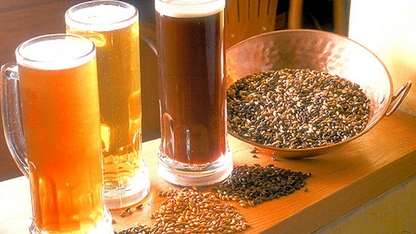 El Ministerio de Agricultura, Ganadería, Industria y Comercio capacita a productores cerveceros