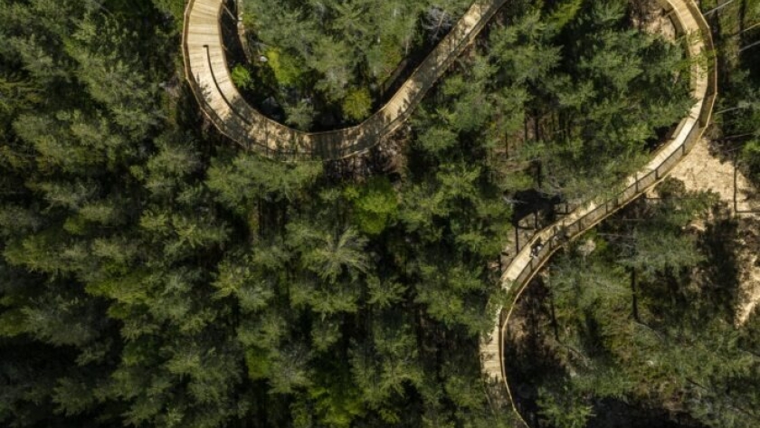 Noruega: inauguraron un sendero de madera inmerso en un parque forestal con diseño universal a 15 metros sobre el suelo
