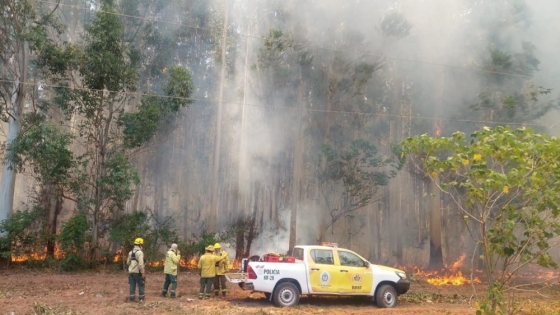 El gobierno mantiene el combate contra el fuego con guardias de cenizas y medios aéreos