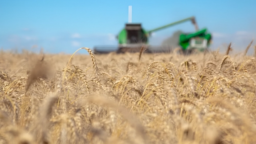 Argentina vuelve a brillar en el mercado internacional: exportaciones agroindustriales suben un 45% en junio