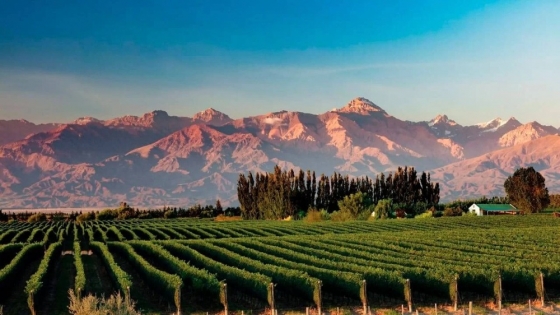 Escapadas de mayo: Córdoba, Mendoza y Tucumán sorprenden entre los destinos más elegidos