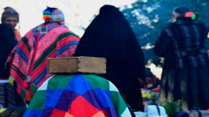 Investigadores del Conicet advierten sobre las dificultades de 30 comunidades indígenas de la Argentina