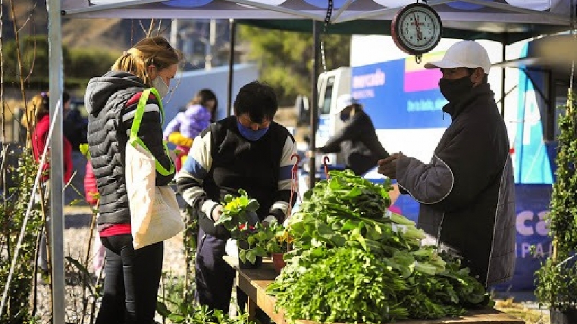 Productores y clientes destacaron la venta directa de sol puntano en el centro integrador noreste