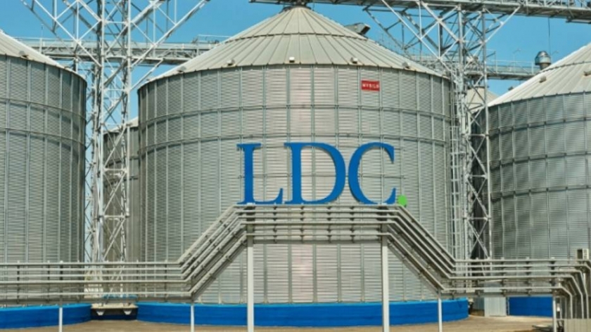 Un grupo árabe compra el 45% de la cerealera Dreyfus por US$800 millones