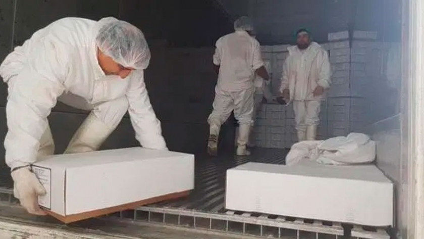 Frigorífico Santa Isabel cargó caprinos a Angola y prepara cortes anatómicos hacia Brasil