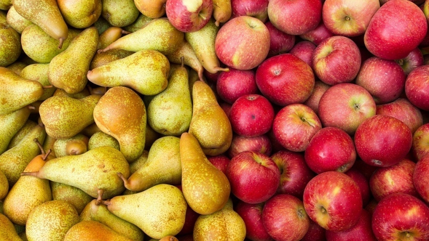 Producción de manzanas y peras alcanzaría a 1,18 millones de toneladas