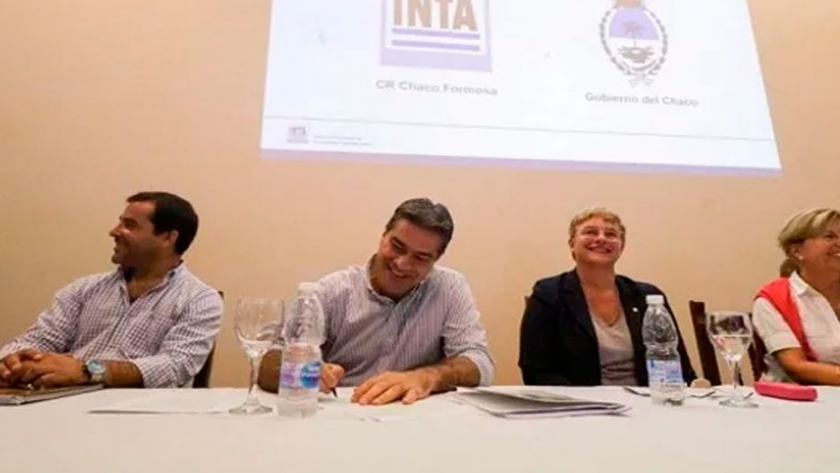 Chaco quiere liderar la producción de algodón y pidió promover una ley de genética