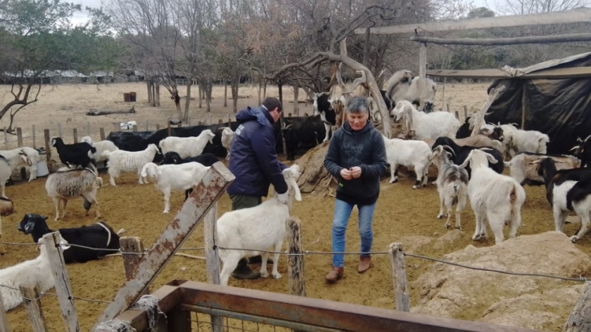 Se aprobaron proyectos que beneficiarán a familias agropecuarias del norte argentino