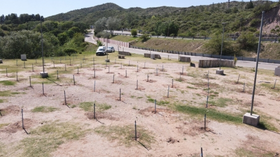 Reforestaron con 300 especies el peridique de Potrero de Los Funes