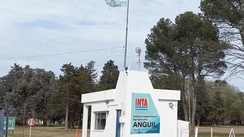 Sorpresa: el Gobierno busca privatizar una empresa que integran el INTA y las entidades del campo