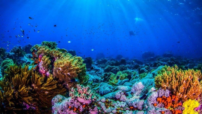 Argentina fue seleccionada como sede de un nuevo Centro Especializado de Ciencias Oceánicas de la UNESCO