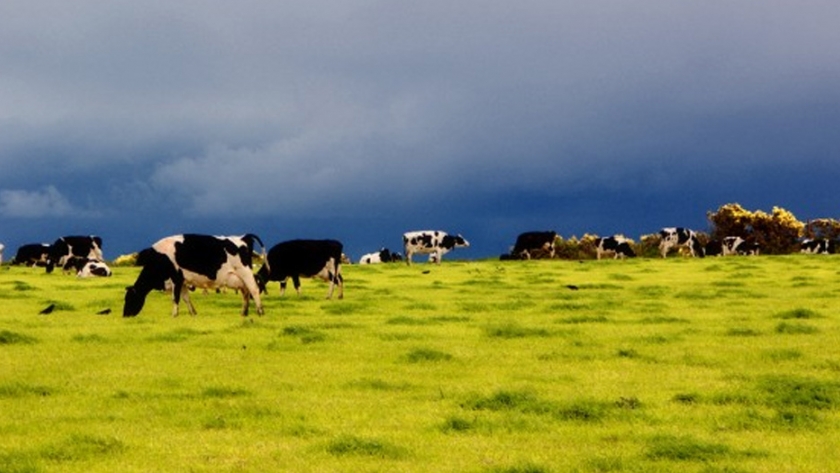 Una nueva revisión de investigación encuentra que el impacto climático del metano puede ser exagerado
