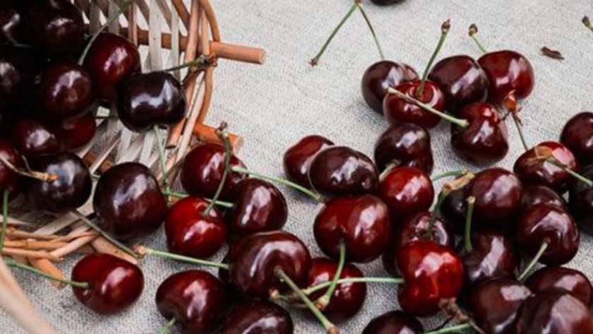 Confirmado. Las cerezas dulces ayudan a reducir el aumento de peso