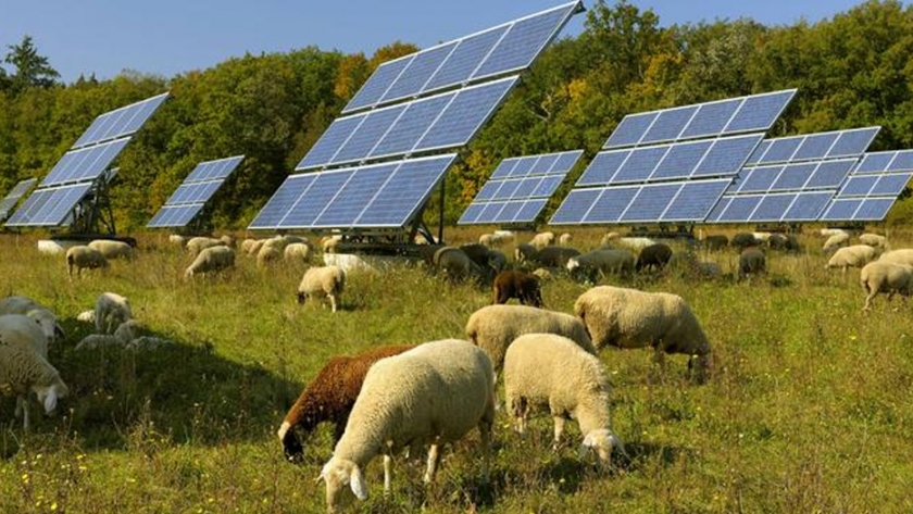 Política agrícola de la UE: ¿Cuáles son los motivos de la discordia?