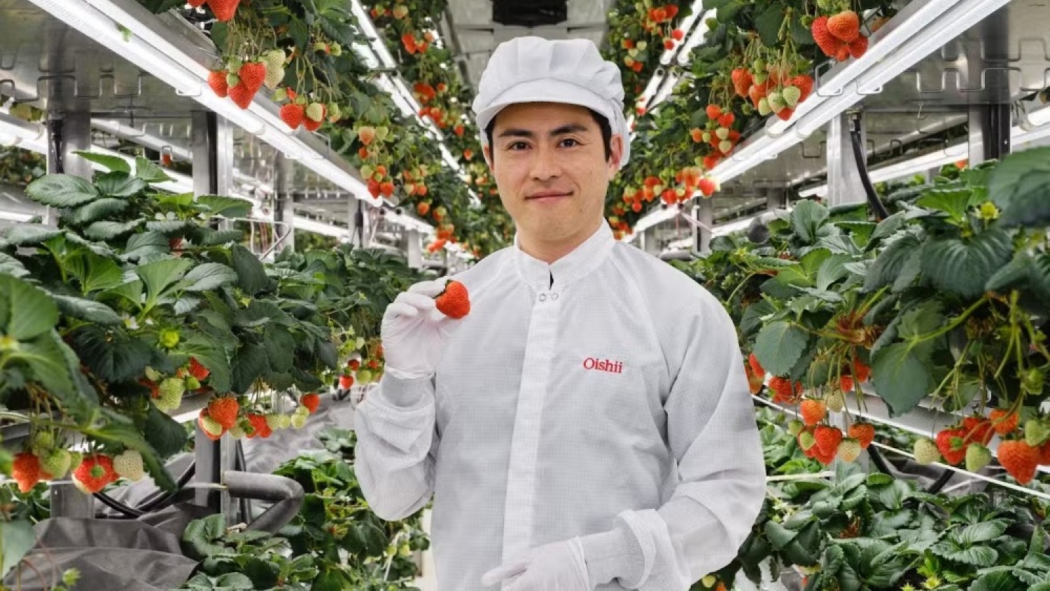 Oishii Raises $150 Million After Fixing Vertical Farming Economics