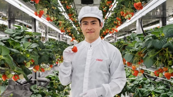 Oishii Raises $150 Million After Fixing Vertical Farming Economics