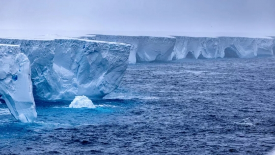 El iceberg más grande del mundo se rompe: un coloso de hielo en movimiento