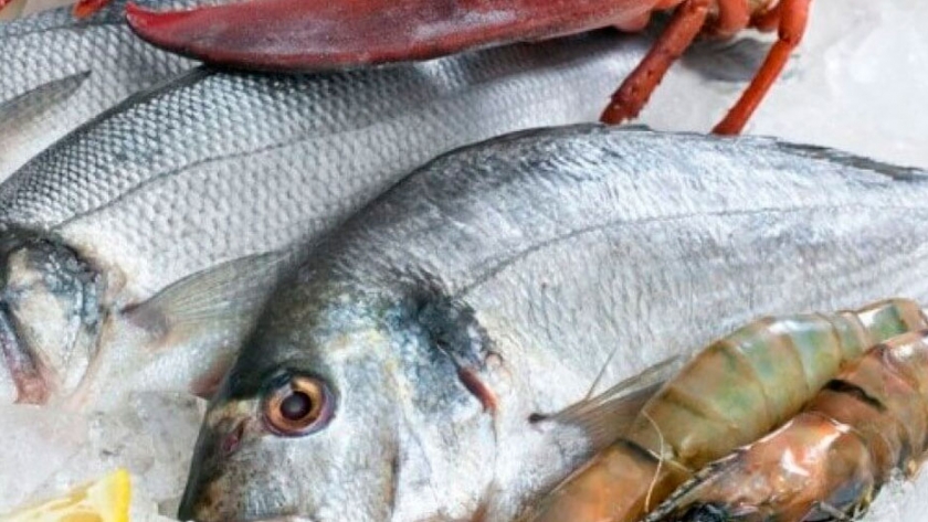 Habilitaron en Ushuaia la primera planta que procesa pescados y mariscos