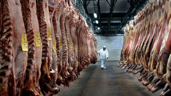 Carne vacuna: el Gobierno repartió el cupo a Estados Unidos y fijó condiciones para 2026