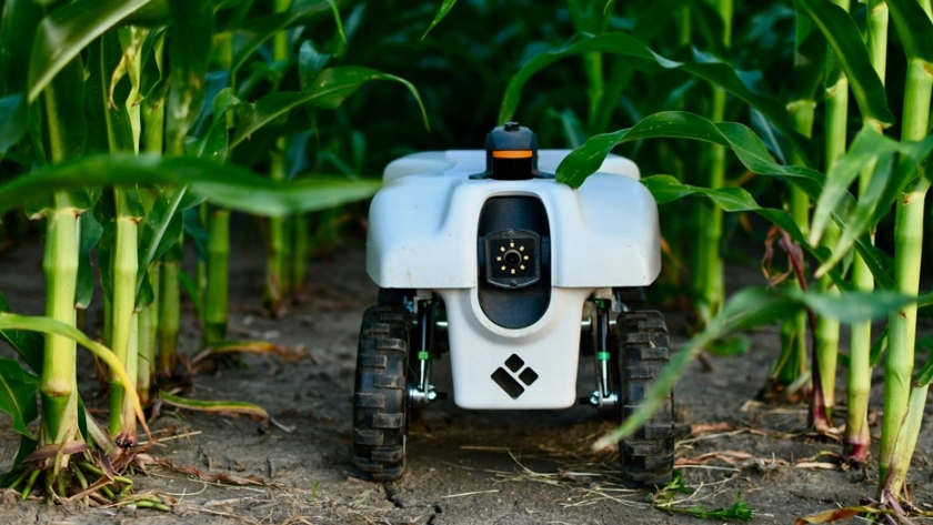 Estos robots ayudan a los agricultores a mejorar el rendimiento de sus cultivos