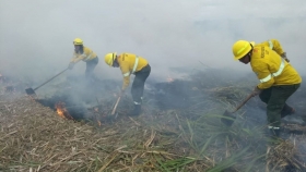 Ambiente envió 50 brigadistas para combatir los incendios forestales en Jujuy