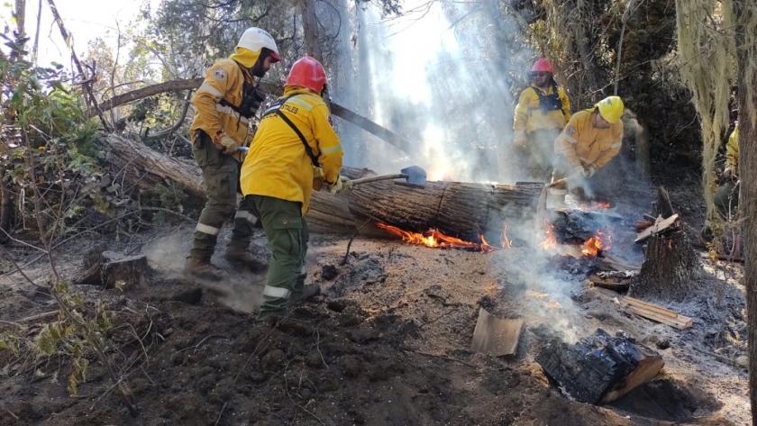Cuidados para prevenir incendios forestales