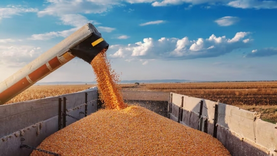 Retenciones al agro: un desafío persistente para la producción argentina