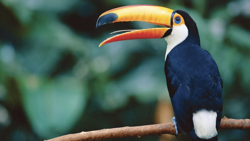 Guaycolec posee una riqueza natural de alto valor turístico