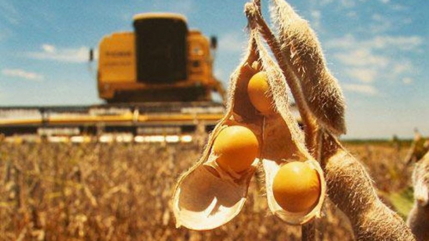 Entre Rios: estiman una cosecha de soja de primera de 1.158.000 t