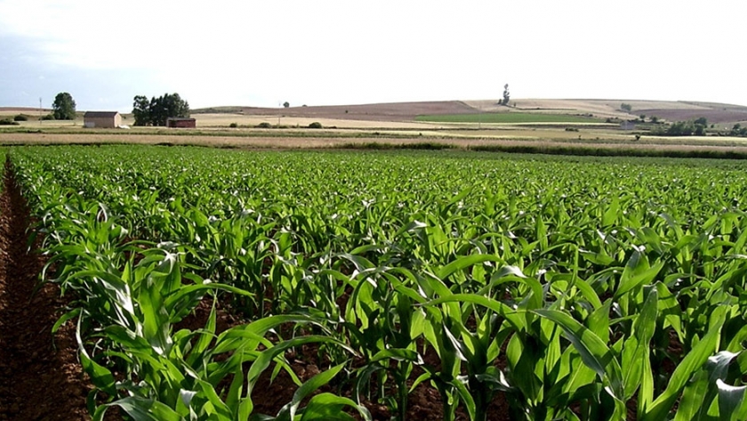 Desde un enfoque de múltiples partes interesadas hasta el monitoreo satelital, Carbon Farming está innovando en el uso de la tierra