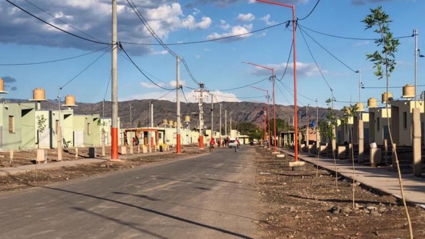 Gracias al Plan Forestal 2020, un barrio de San Martín ahora cuenta con un centenar de árboles