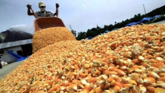 Por la incertidumbre política y climática, los productores no quieren vender granos
